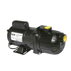 Bomba Autoaspirante AP-2R 1/3CV Bivolt Dancor