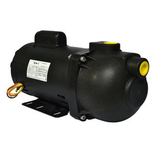 Bomba Autoaspirante AP-3C 1/3CV Bivolt Dancor
