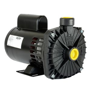 Bomba Centrifuga CP-6R 1,0CV Bivolt Dancor