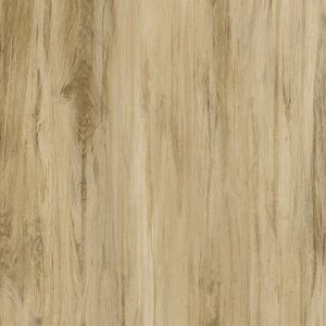 Piso Fioranno Acetinado Pavia Plus 62,2x62,2cm