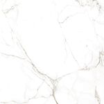 Porcelanato-Cristofoletti-Carrara-Realce-611x611cm