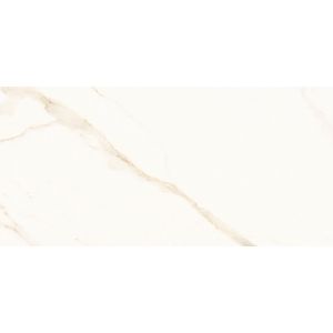 Porcelanato Portinari Opera WH Polido 60x120cm