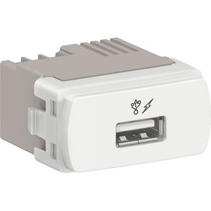 Módulo USB Miluz 127/220V Schneider