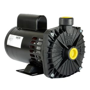Bomba Centrifuga CP-6R 3/4CV Bivolt Dancor