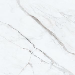 Porcelanato Biancogres Calacata Altissimo Lux Polido 120x120cm
