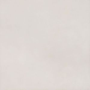 Porcelanato Eliane Munari Branco Polido 120x120cm