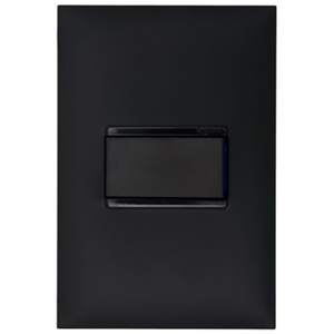 Conjunto de Interruptor Simples 10a 4x2 Preto Pial