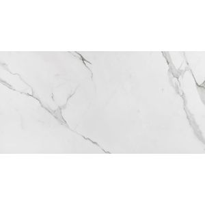 Porcelanato Eliane Place Polido 60x120cm