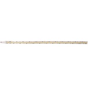 Fita Led Advanced 05 Metros 24w/m 6500k 12v 240 Led/m IP20 Bronzearte