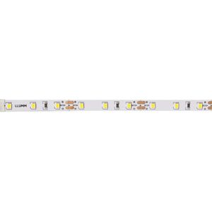 Fita Led Advanced 05 Metros 7.5w/m 6500k 12v 60 Led/m IP20 Bronzearte