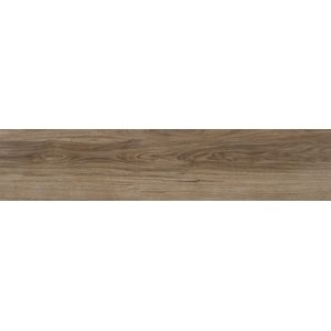 Porcelanato Eliane Amazonia Canela Mate 19x90cm