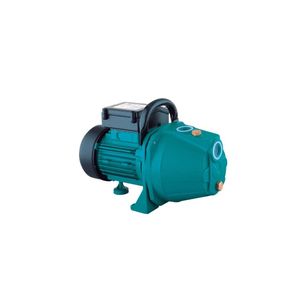 Motobomba Autoaspirante Em Ferro 0,8HP 110V Lepono