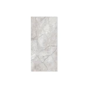 Porcelanato Elizabeth Maxisilver Cinza Polido Retificado 62,5x125cm