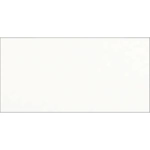 Revestimento Portinari White Plain Matte Acetinado  29,1x58,4cm