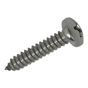 Parafuso Com Cabeça Panela 3,9x32mm Com 10 Peças Metropac