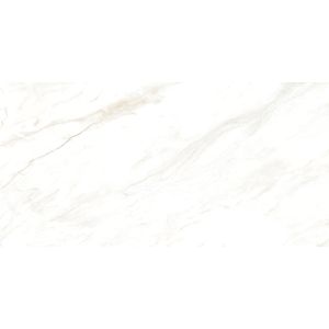 Revestimento Delta Pigues Acetinado 35x71cm