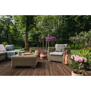 Porcelanato Delta Jatoba Deck 72X72Cm